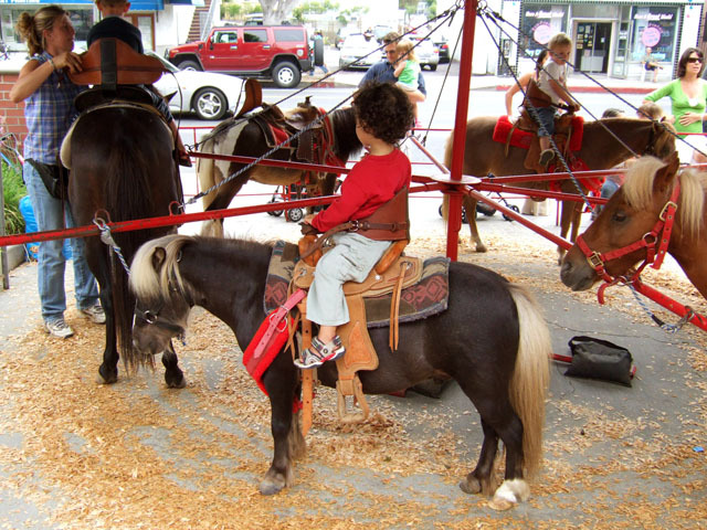 Pony-go-round!! (Next: Hanging Elmo)