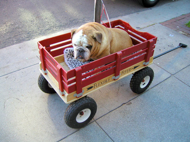 Wagon bed (Next: Ink cartridges)