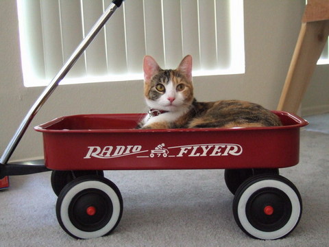 Radio Flyer