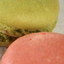 2006 macaron collection 2