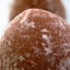 champagne truffes