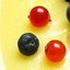 fruit tart entremets